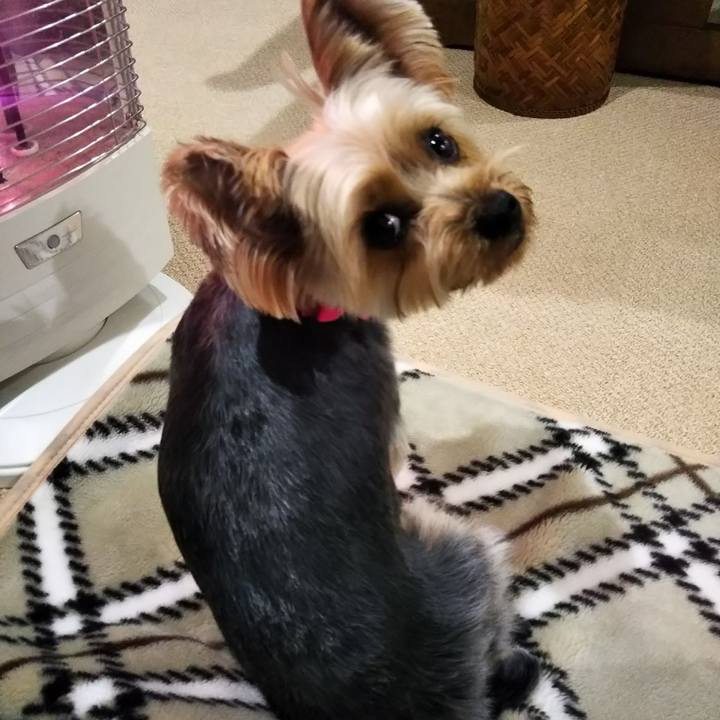 F2a8b8c8 480a 48eb 814d 16194a6fd972 1614476175429