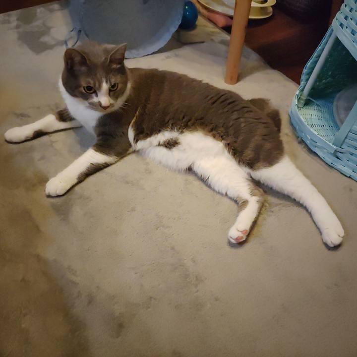 F2a8ddee 56d0 4650 8608 adcf6ff413bf 1654465846458