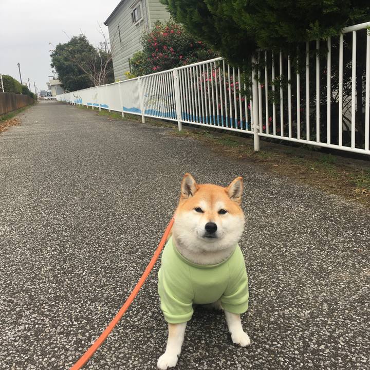 F2a8f62c 975b 47f8 bdbd 46a4d21acf2e 1576993212643