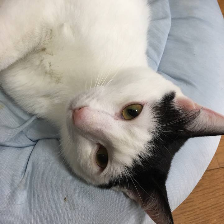 F2a90cf3 cdc2 43df ad7e b8b65c4e643f 1544340080354