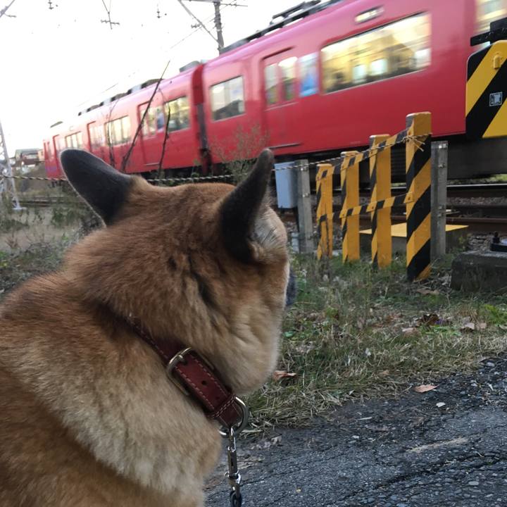 F2a916d8 417d 4328 bc84 7786cc0bc6e7 1511257309819