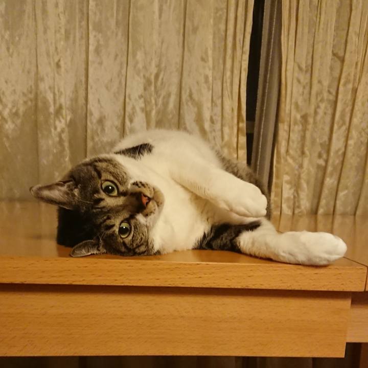 F2a98c66 518a 4884 84c2 16bd46bb53dd 1530285324612