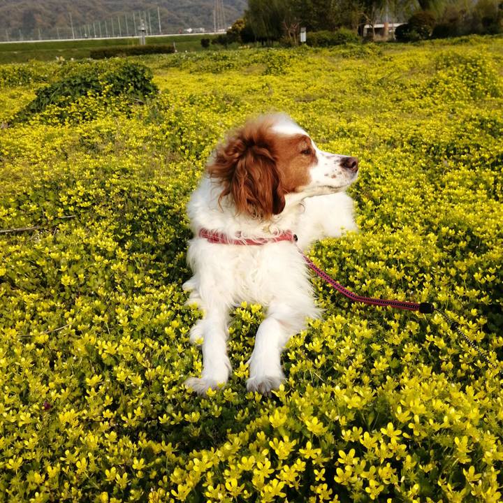 F2a991f2 4bd5 4f87 8348 304a293b8861 1587038835272