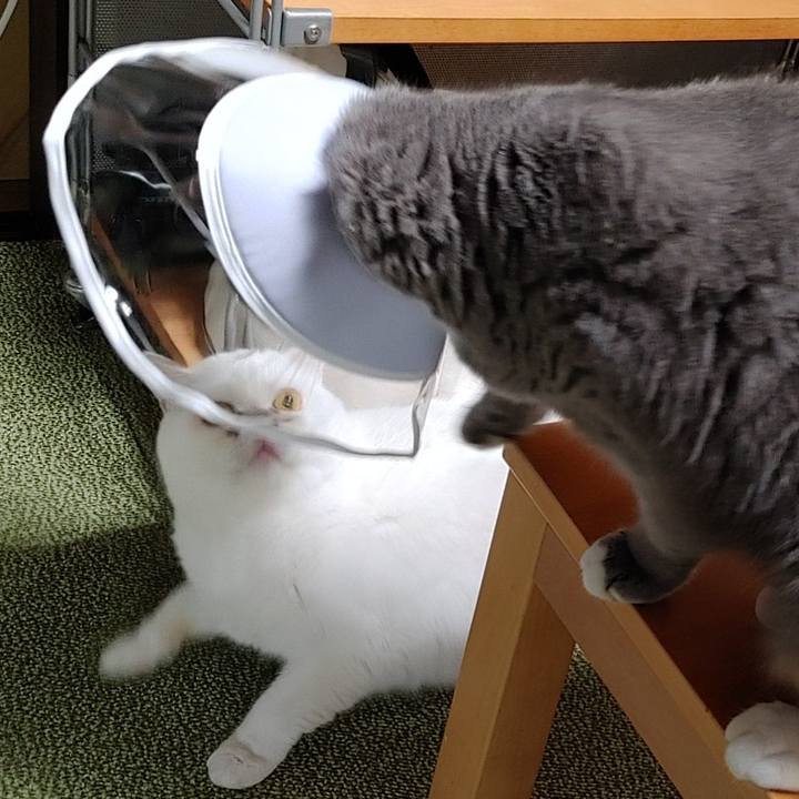 F2a9bdf9 3e5f 42df b101 8a366e7636df 1630752611342