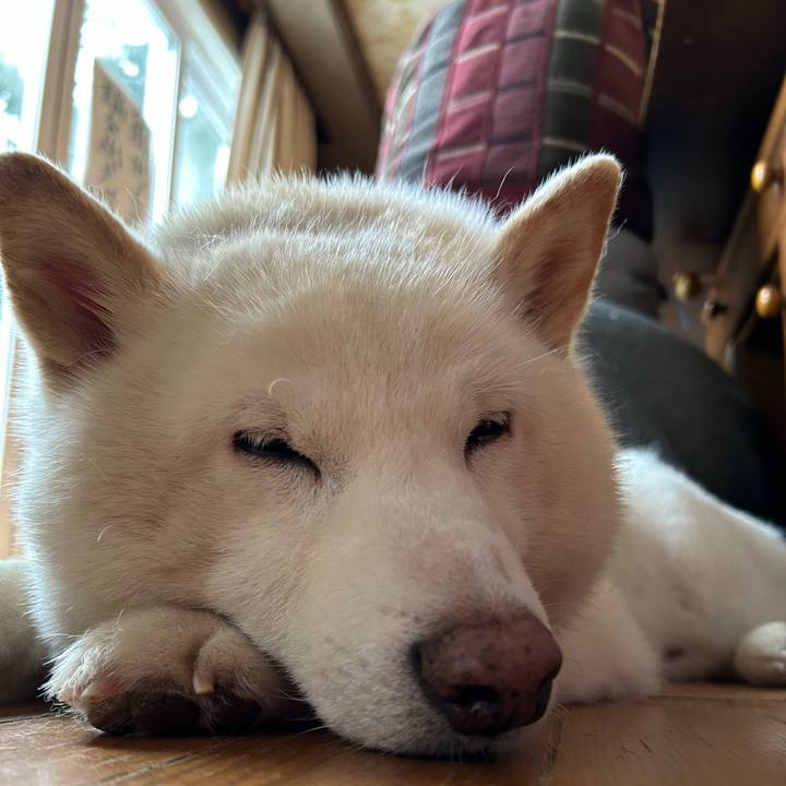 F2aa203e df7f 4ec2 b961 aefac7b017c2 1773441452065