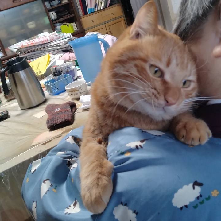 F2aa2624 0f61 4146 a104 5217b65db76d 1704443254050