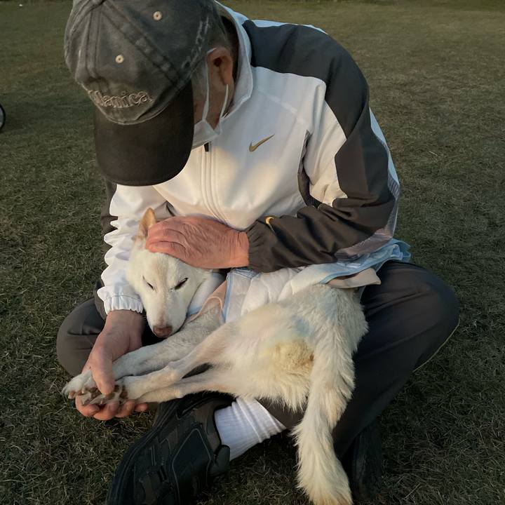 F2aa2730 77ae 4c5a 9437 741f05dc05f2 1669896743664