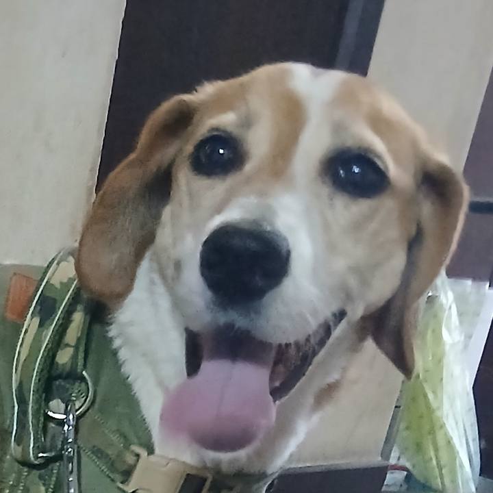 F2aa2915 b018 4096 856b 4ea6430d10a5 1757673459715