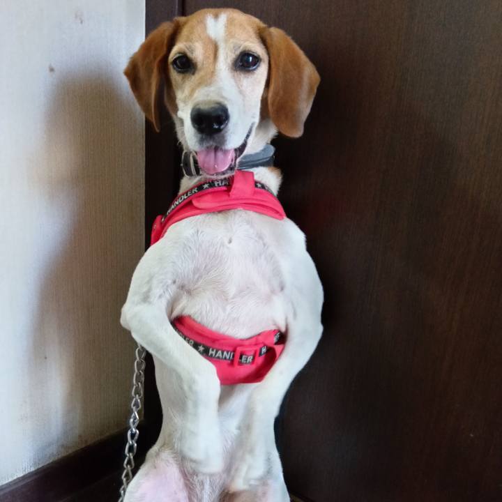 F2aa74fb b29b 445f 8c19 8425b7cc656a 1722416026146