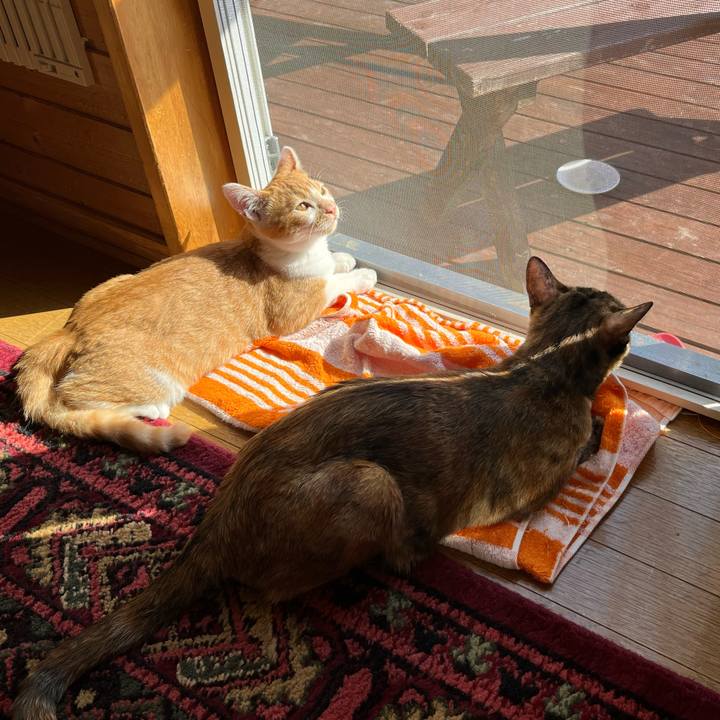 F2aaa189 c617 4eb0 a95d 9b7602cdfd24 1665887913391