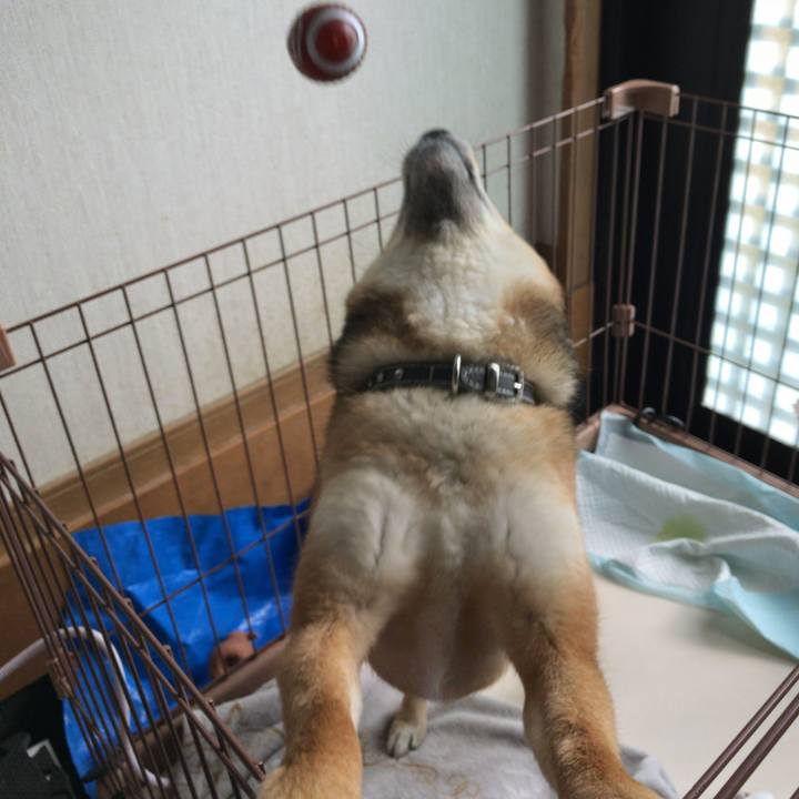 F2aab291 5e58 4e17 b917 a1f6f248510c 1523853143498