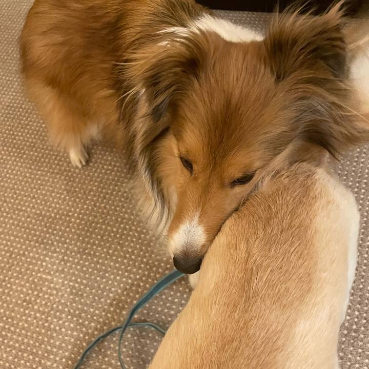 F2ab0bcf 2273 4cf0 b459 553379cbc613 1644838238554