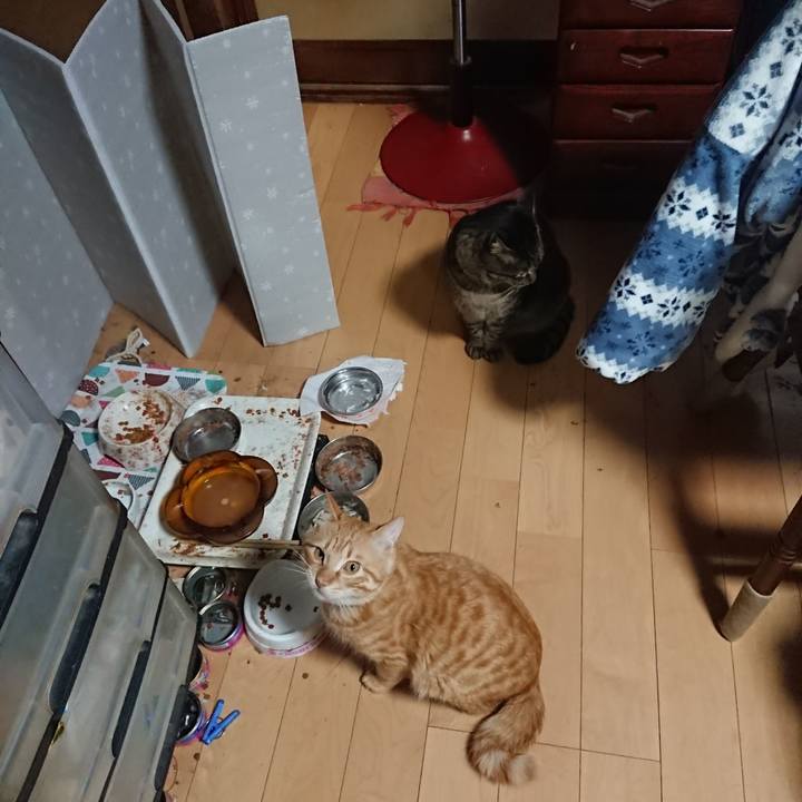 F2ab2366 5005 4655 8591 a0ebf062be7a 1643277754033