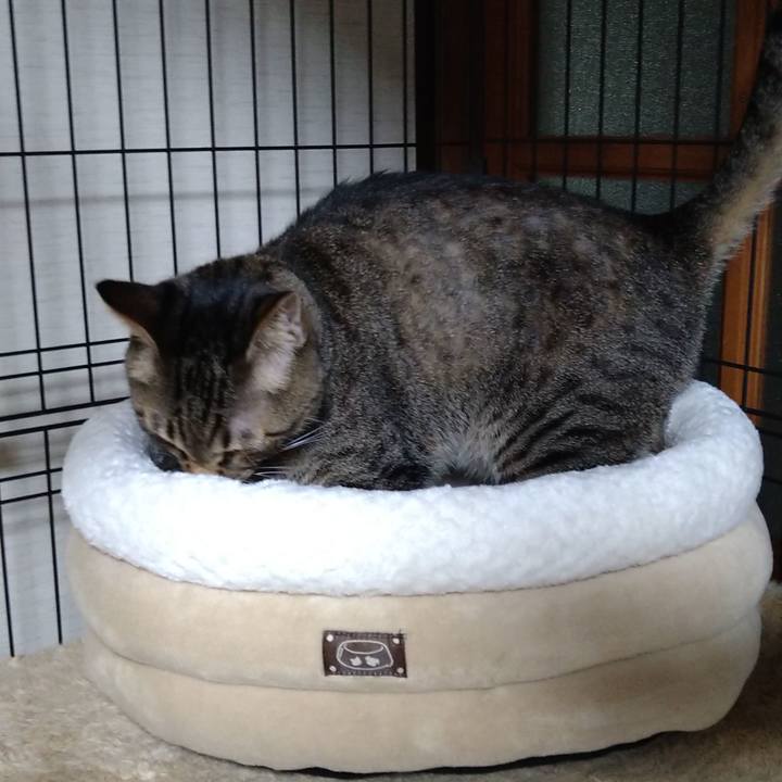 F2ab2cd9 4a7a 43ac 80e1 0671533aca8c 1633952022046