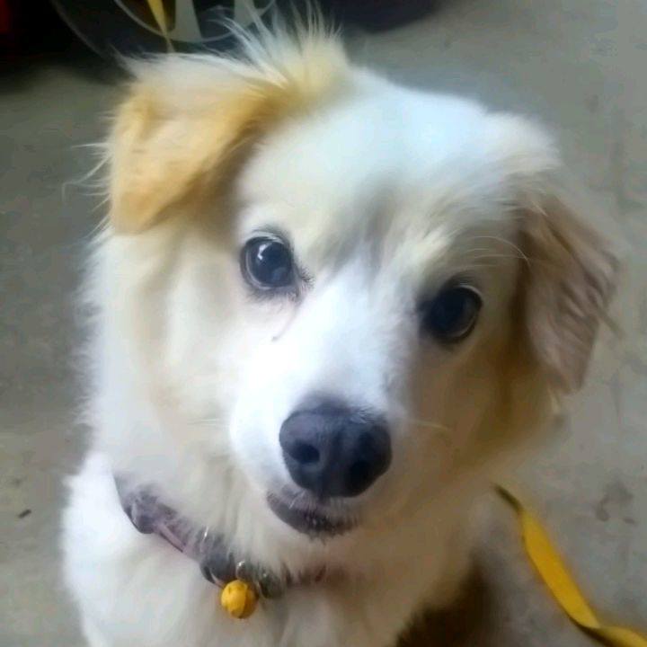 F2ab58dc 6f58 4712 b8f5 515d244517fb 1629644433576