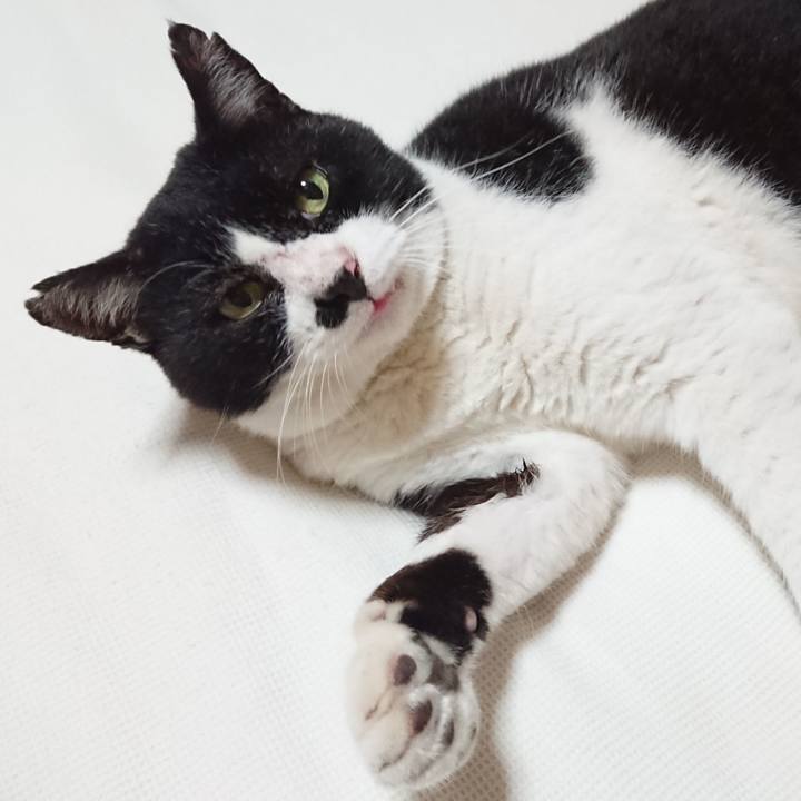 F2ab86d5 77fc 4980 ac41 ecb714a1dc3c 1600479363167