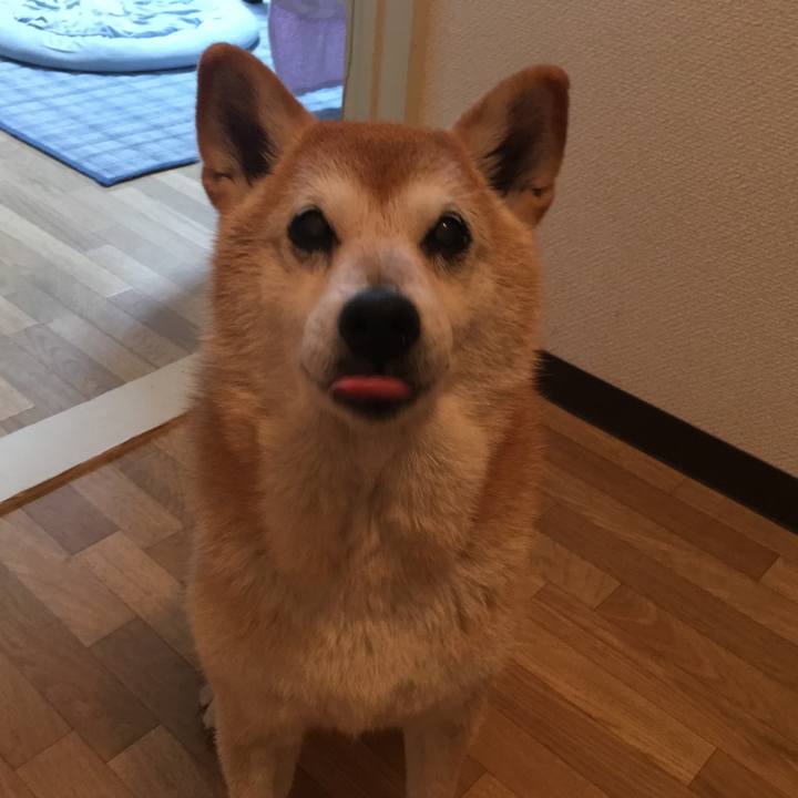 F2ab8d21 a65b 4bfb 8b0a 950a877f4520 1508188005112