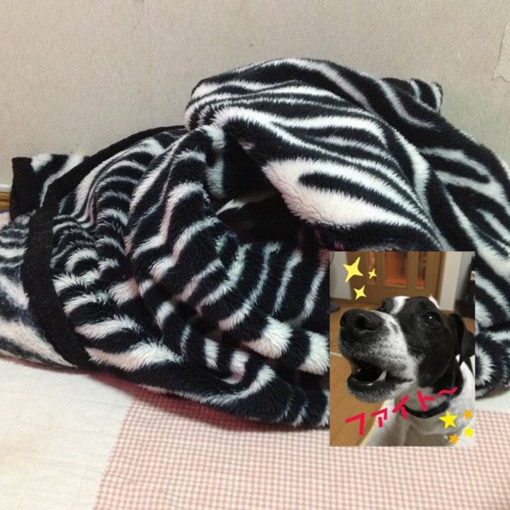 F2ab98aa 9b03 4464 ae55 6945d165e3b2 1647489549587