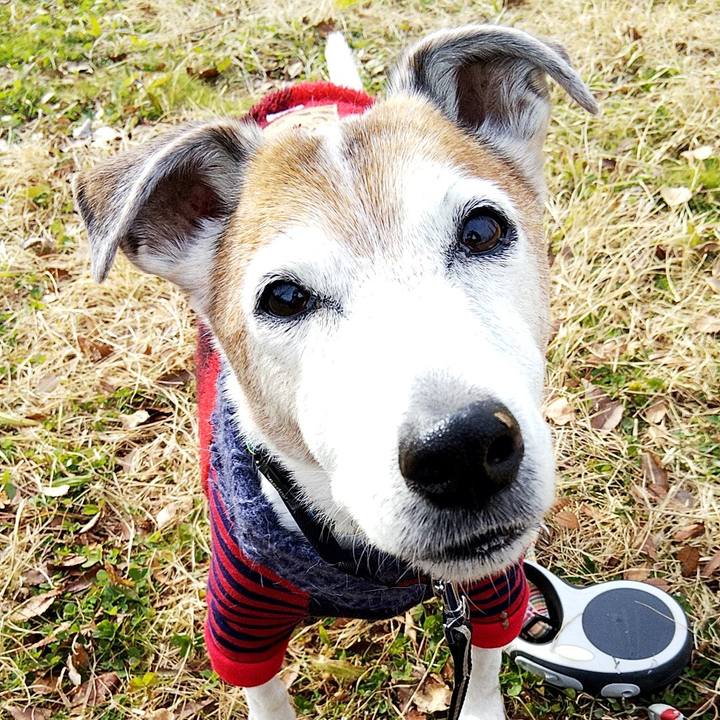 F2abaf10 0065 4b57 8b54 cfaecbf20440 1579412783517