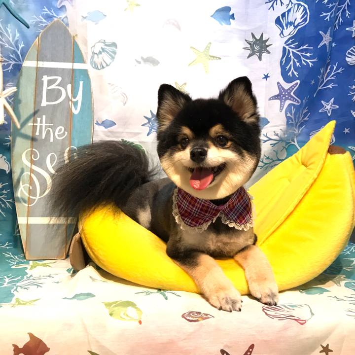 F2ac9a44 a19f 4e3e 80b5 a44935aa2cf1 1536687959144