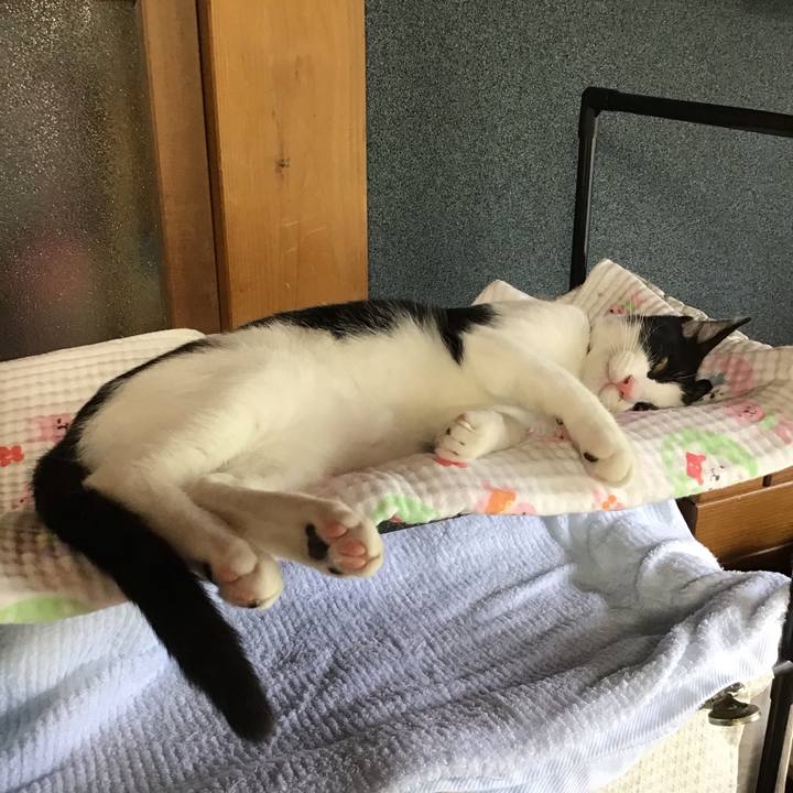 F2acac0c 70b8 41d1 b609 91d2021b47dc 1629611293487