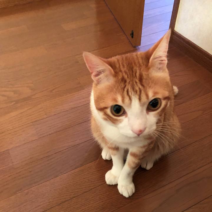 F2acae4e 3f7d 488e aff3 93915230fcfd 1564177795067