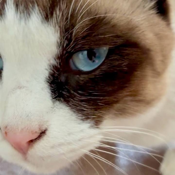 F2acb63d aa2a 4767 840a 93d943342e64 1764902019759