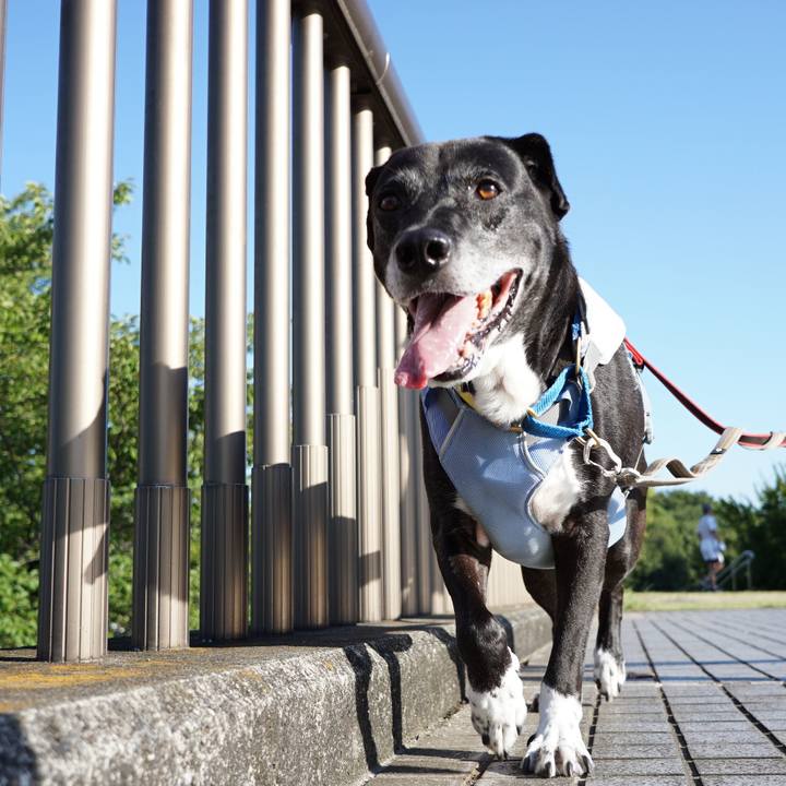 F2acbfe7 ae35 40fe 96f9 235b2b20e553 1757203997729