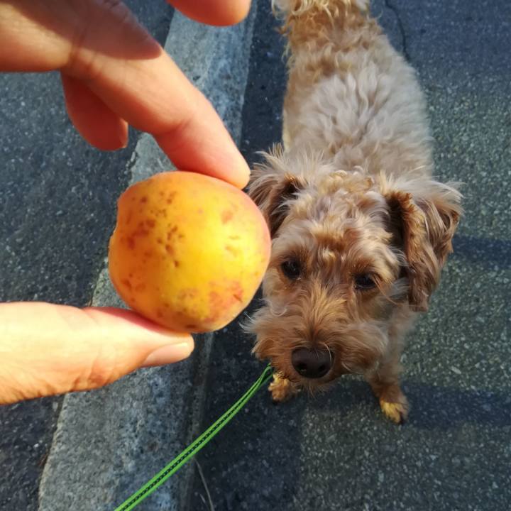 F2ad04a6 b1fc 4a62 b8de 53d09bd6189f 1563309753142