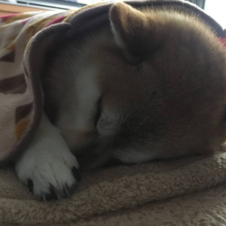 F2ad221f ab2d 4885 bb62 580b40b91108 1578795976846