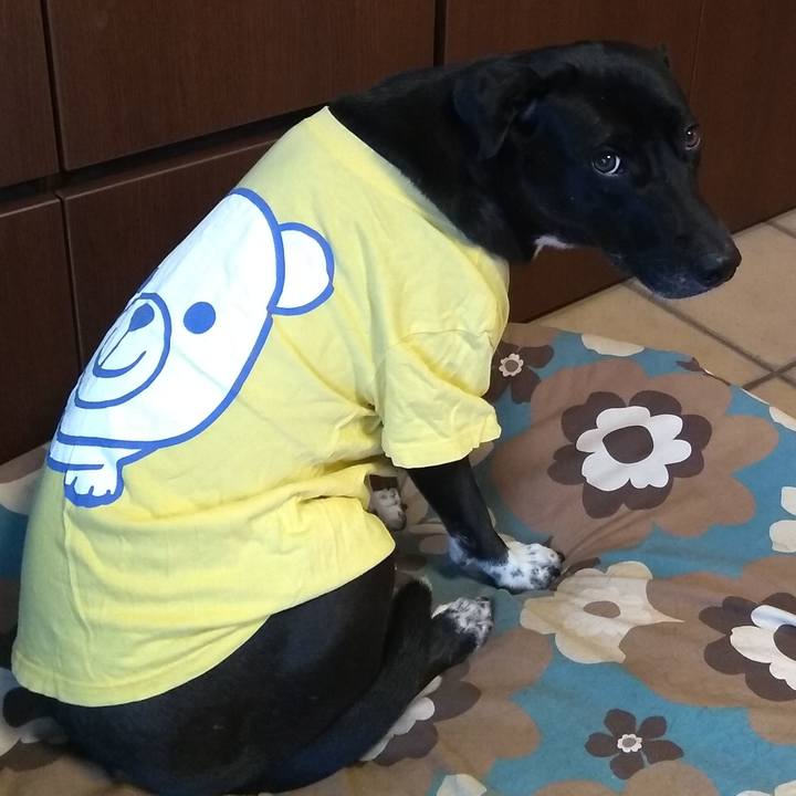 F2ad43b0 1506 464f bed8 32626fe55812 1605607688294