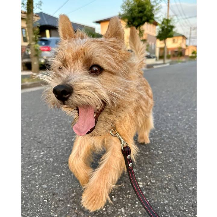 F2ad5c5d 0b60 48ca b3ef 8629ed7b2135 1722817462508