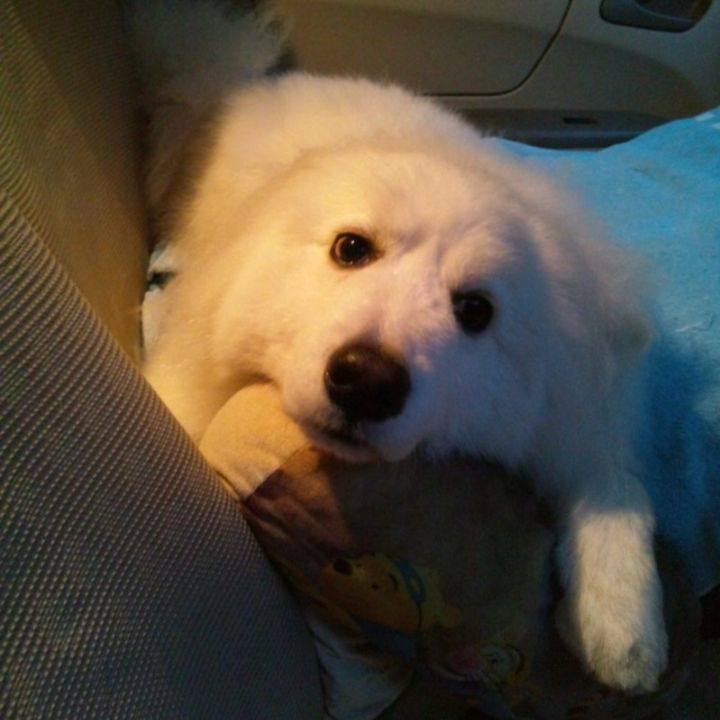 F2ad630c e311 491a 9013 128429d66f1e 1678565249970