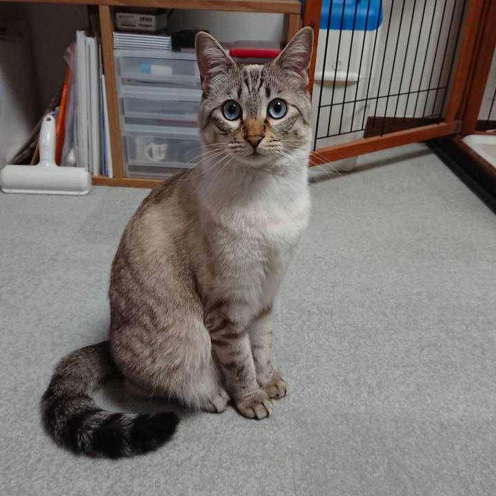 F2ad6bbb 1f4a 40a5 ac0b 244a3a91cd4b 1521111654434