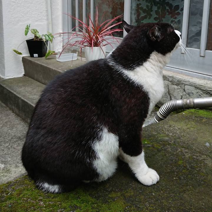 F2adaae1 98ed 4549 8605 fb139942c585 1635290868778