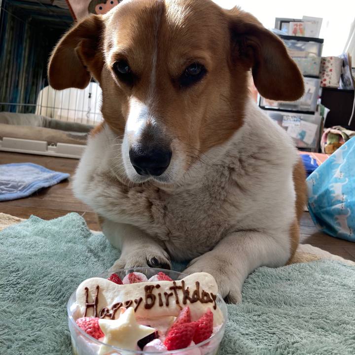 F2adbc0e 169a 4f61 bebb 38efb124c484 1740531810897