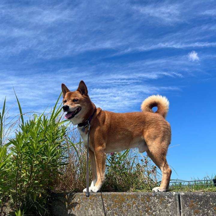 F2add6f8 23d8 4e00 bc69 b4890a6d858f 1688265886358