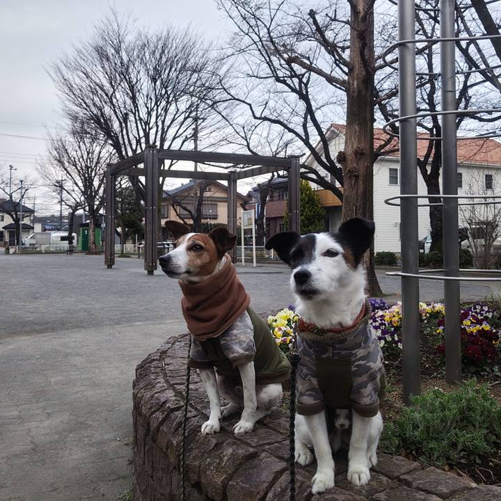 F2ade1aa f989 429a aefd db8a5086ecb8 1773787087178