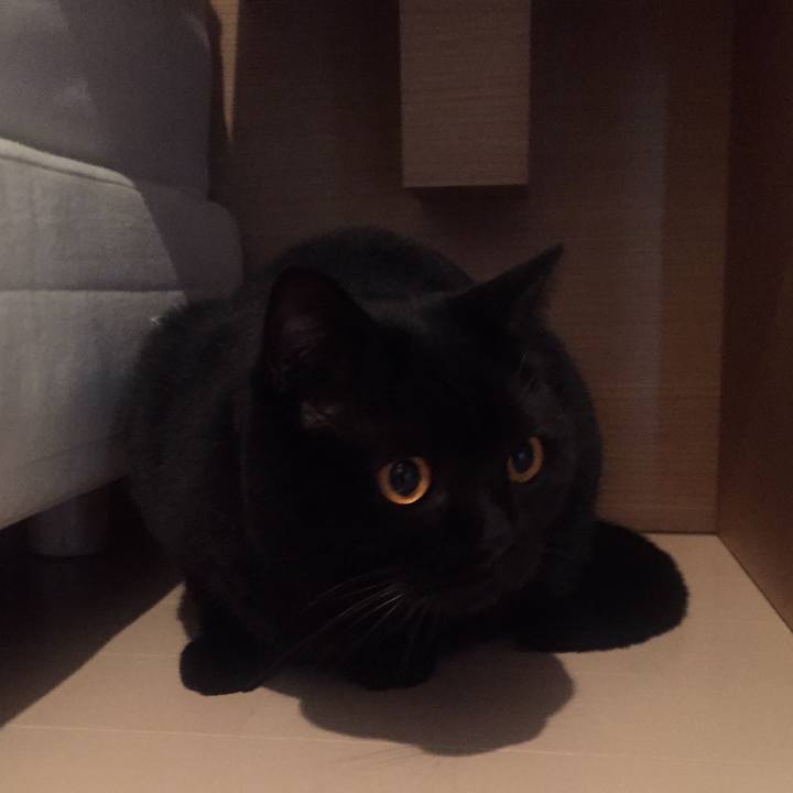 F2ae1b60 6561 4e1d b8c9 750da98216bc 1573889284460