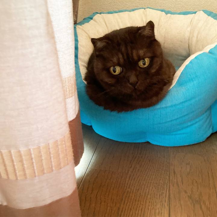 F2ae2006 c211 46dd aa2a bb4fe1a71996 1596634744404