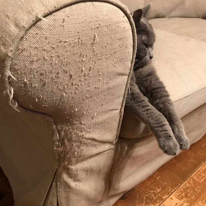 F2ae3183 e47c 402c be50 238fa8009fe3 1561469751563