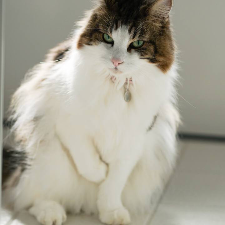 F2ae93d9 e708 481d 9a80 ee140dd16b53 1605589557497