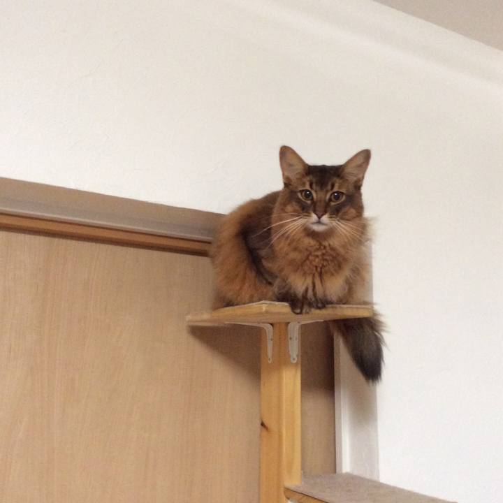 F2aea35e 4eb0 413a b758 d72794122989 1606650442749