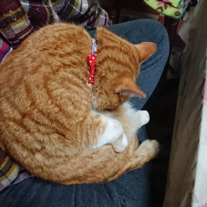 F2aed808 ffc9 4be5 ad8a ab81b3bbd129 1579388346945