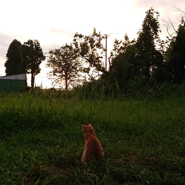 F2aee4c1 f4a1 4a05 8dcc fadff009b6fc 1563961625359