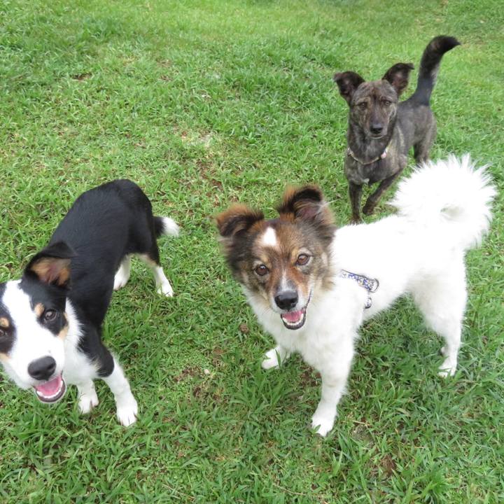 F2aef195 3535 4057 b703 154099ab02ef 1563837327642