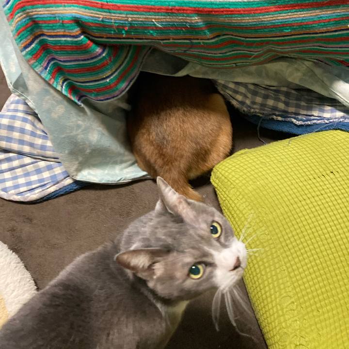 F2af07d5 9550 4fcd b479 3df39399f1f6 1705189809276