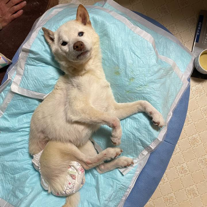 F2af1b20 f511 4810 95c6 82f9c38f5b37 1680966317447