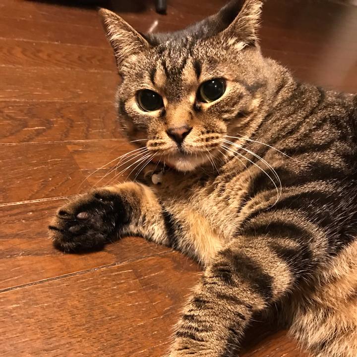 F2af3cc6 57f0 4adc a80d 466486e236f0 1647349433690