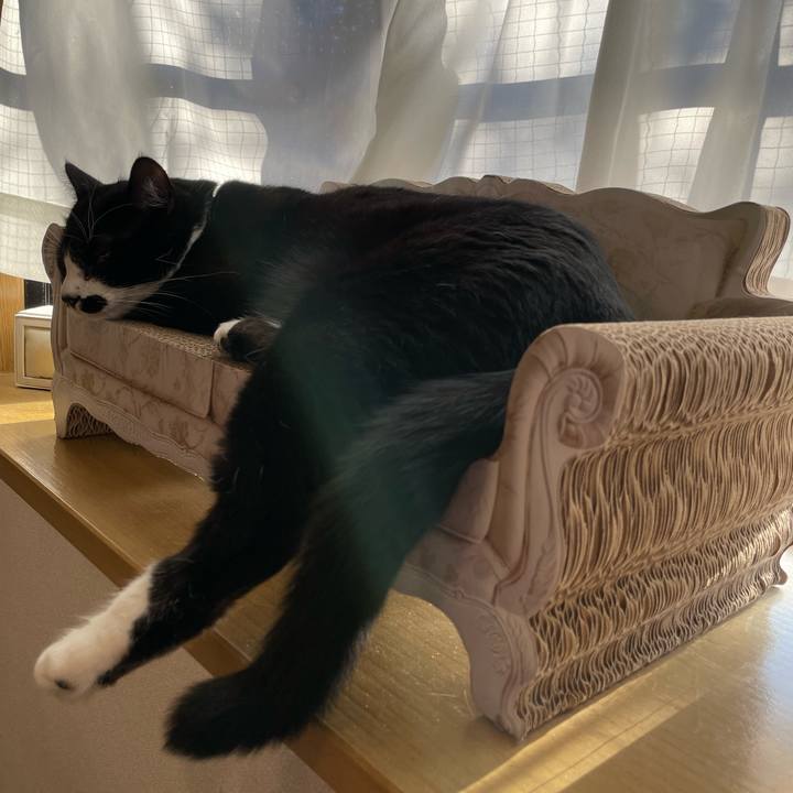 F2af5c7f d727 4673 a5ec 318ef4df20cc 1672359441979